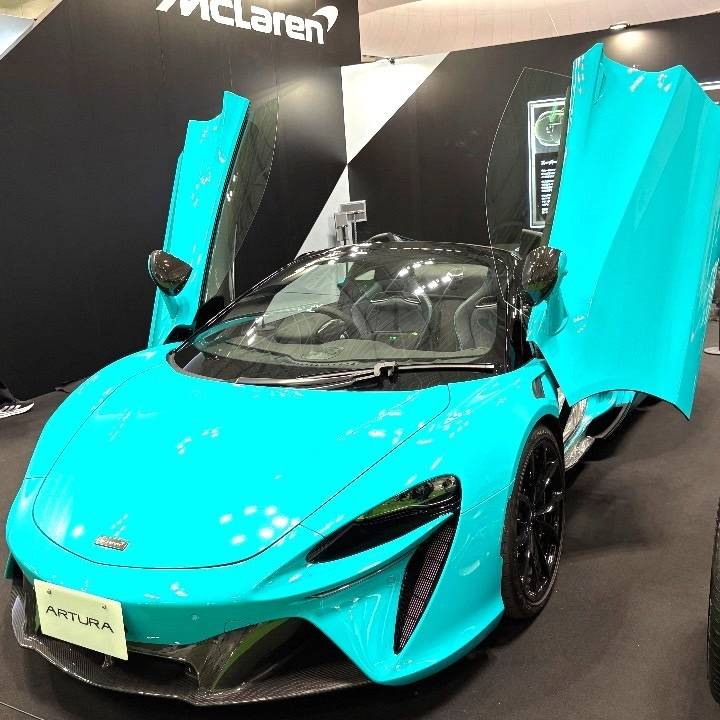 この車は一体なんだね！