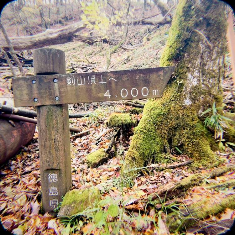 剣山🏔️