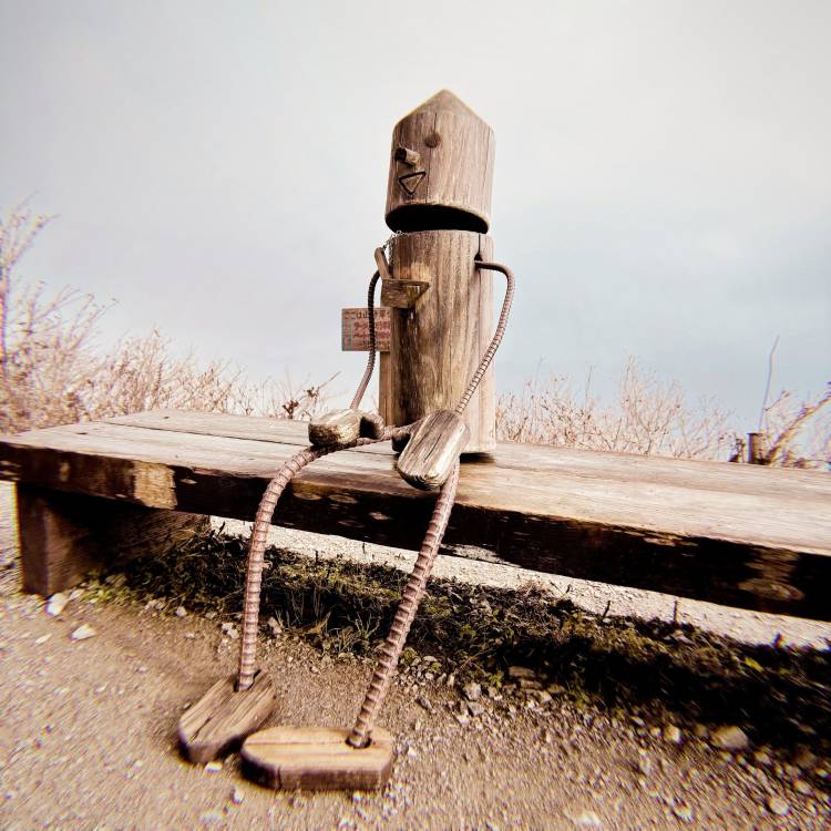 のぉーーーー😭😱💔