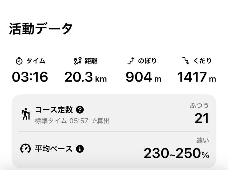 ほぼハーフマラソン🏃‍♂️‍➡️