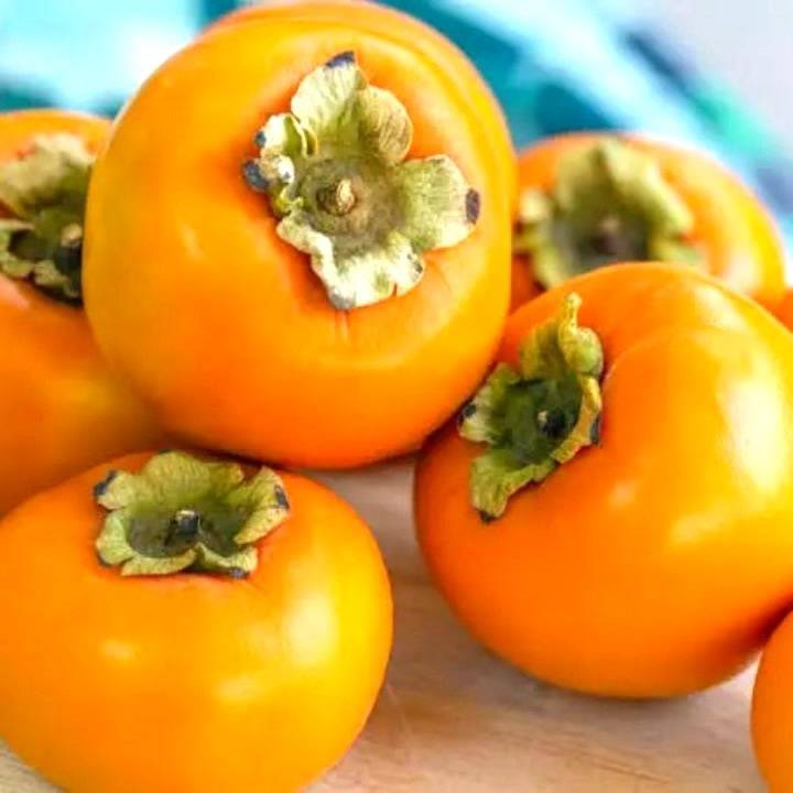 甘にこちゃんと渋にこちゃん🦪