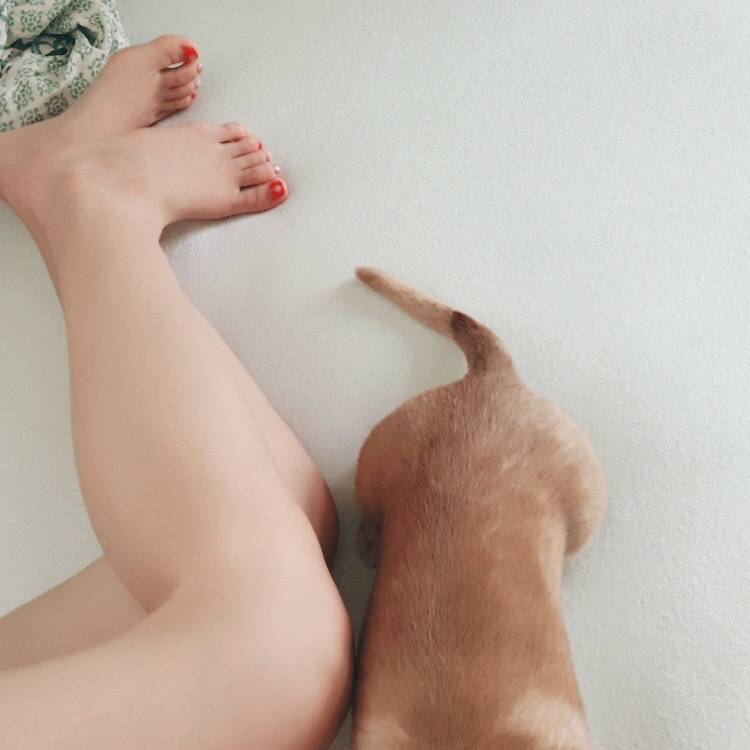 お別れがコワイ🪽