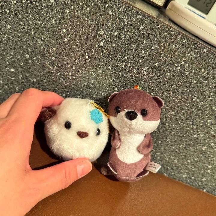 おーはーよー♡