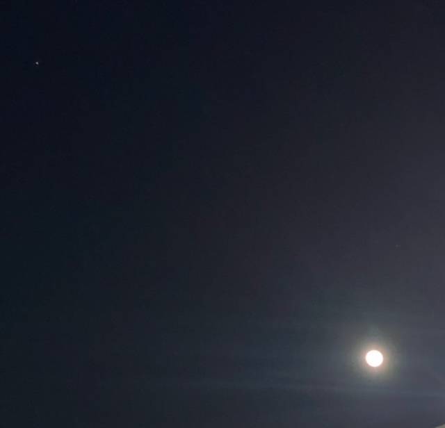 コールドムーン