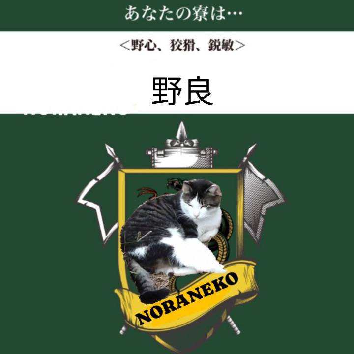 私の性格的に…