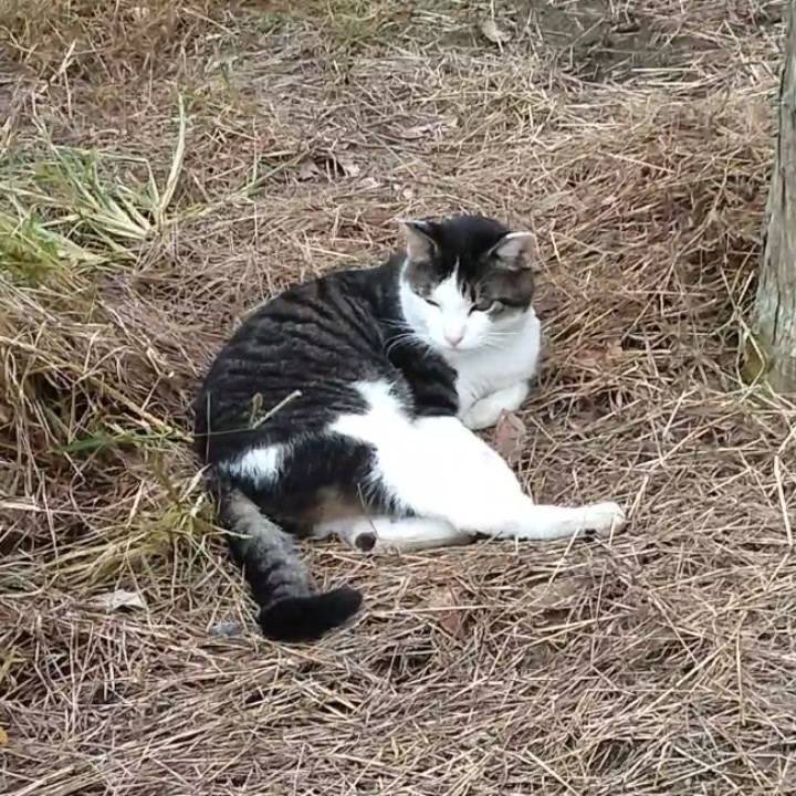 食べ物ください🥵