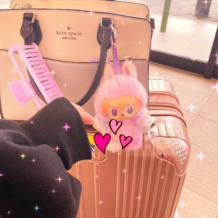 ほた福岡帰るばい🐰