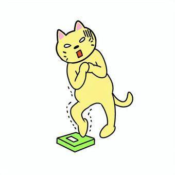 片足から恐る恐る