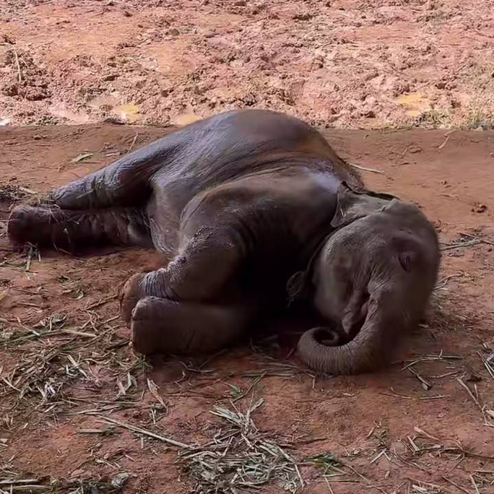 私かと思ったでしょー！😾笑