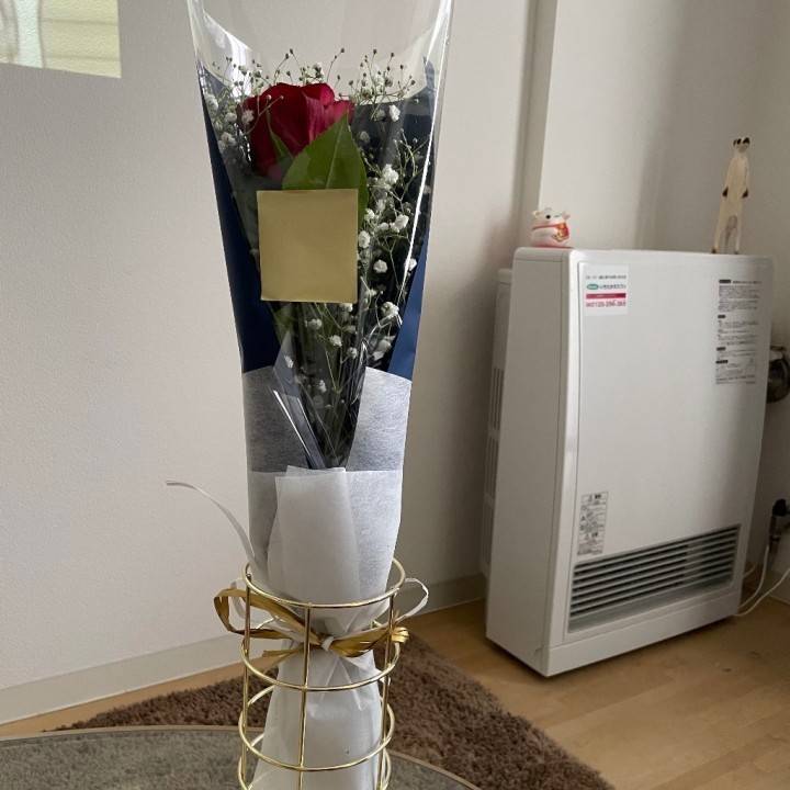 明日も17時から