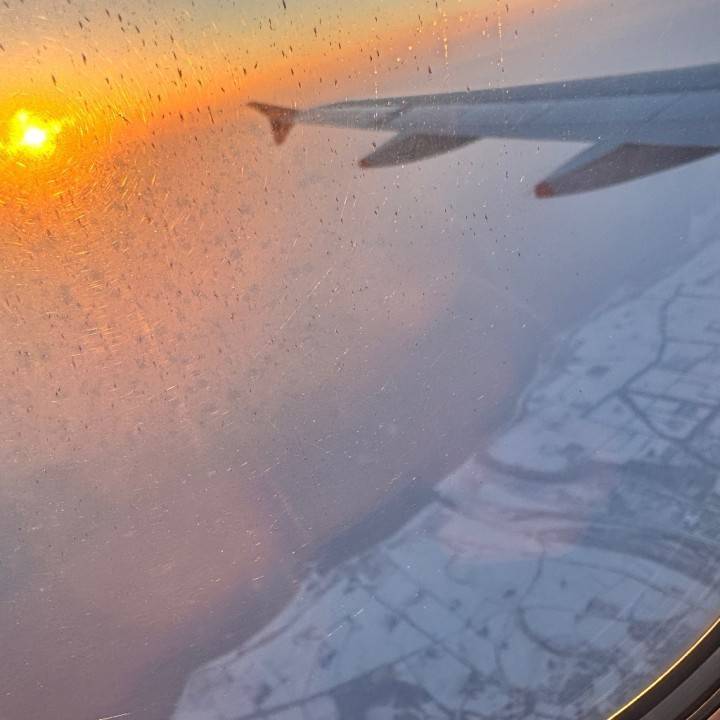 ❄️だー❗️❗️