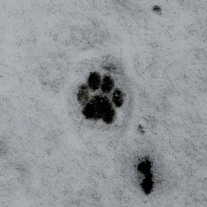 13~15日しゅっきーん！