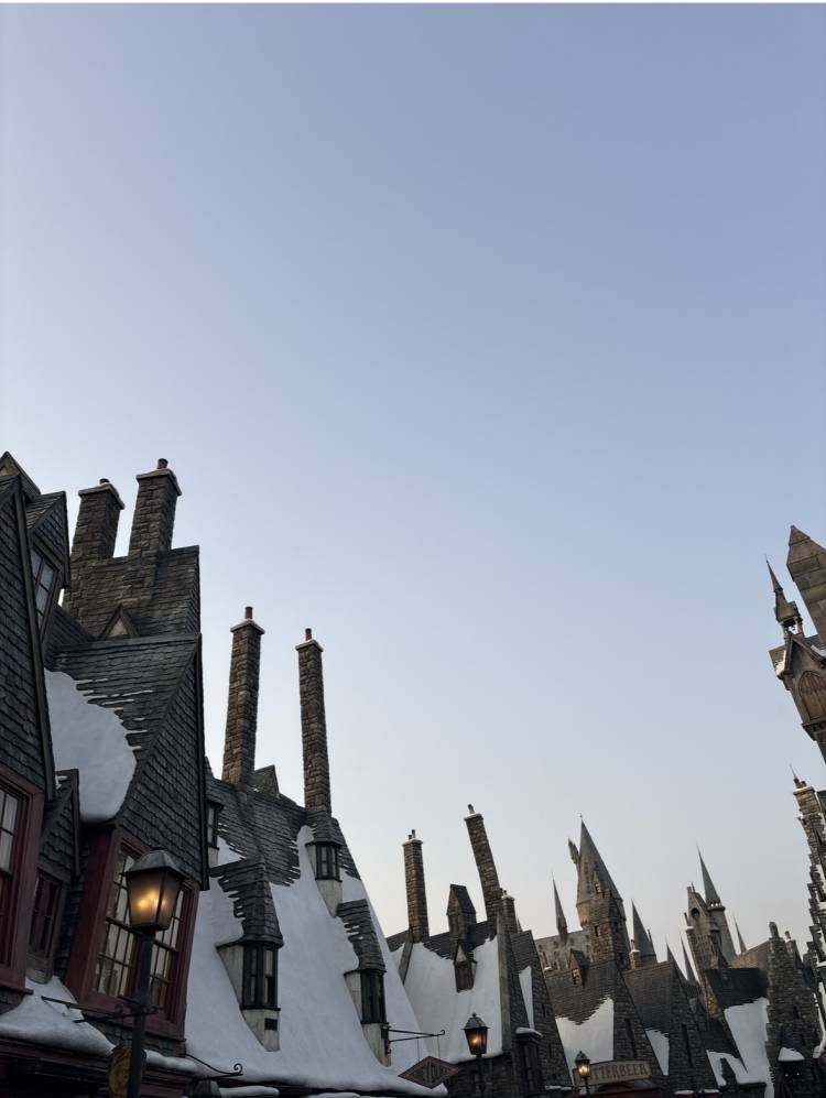 小雪(こゆき)（土浦ハッピーマットパラダイス）