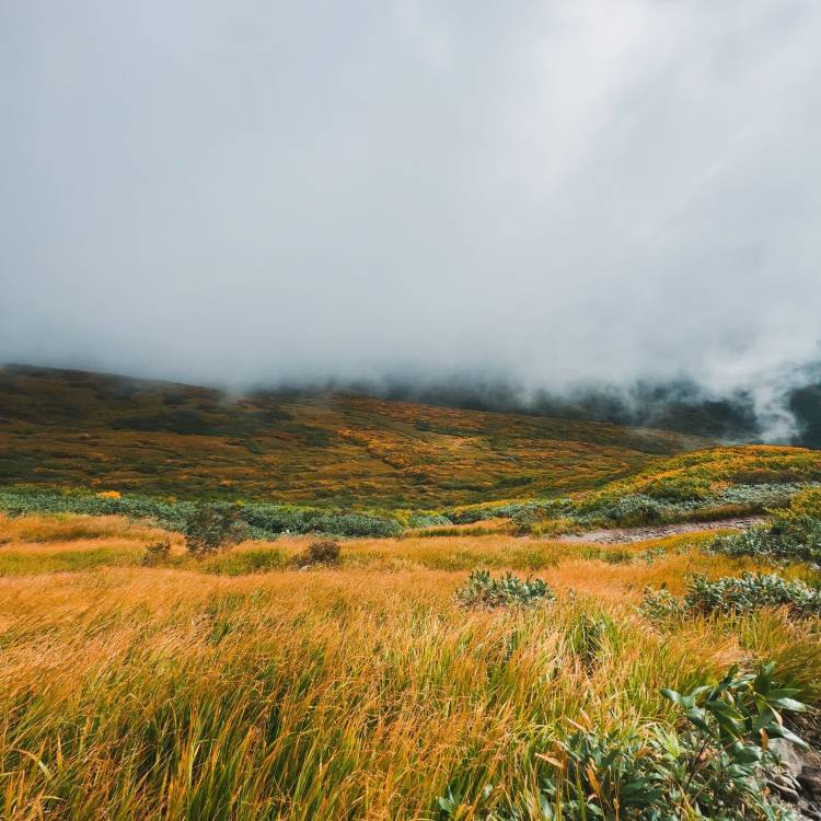 明日は雨ですが☔️