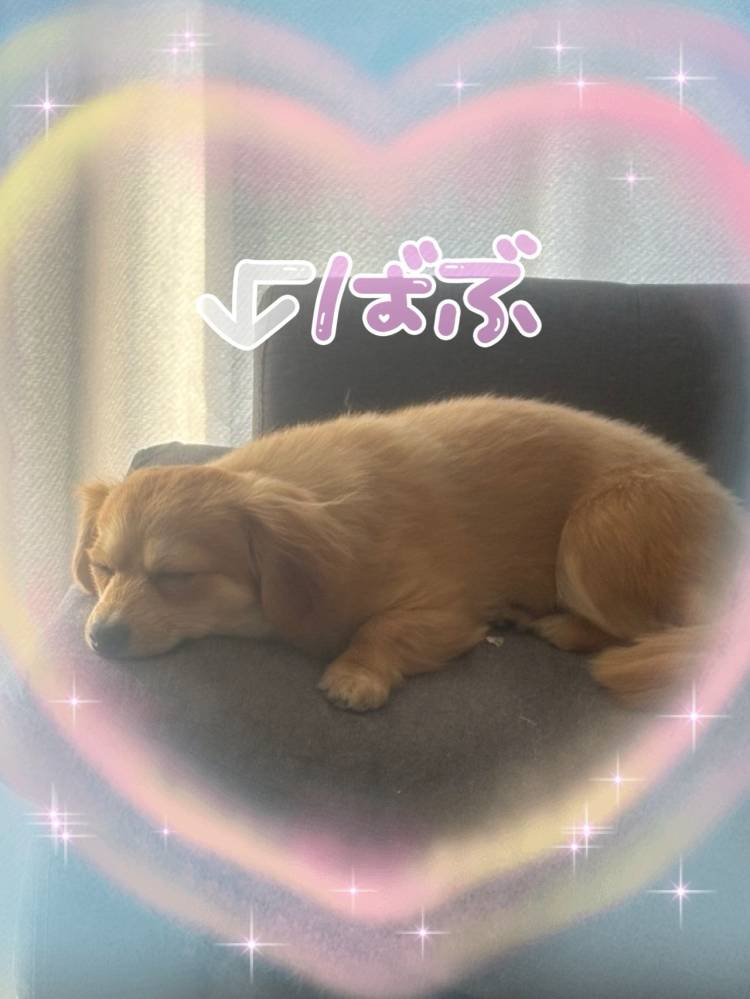 土曜日のお知らせ📢💕