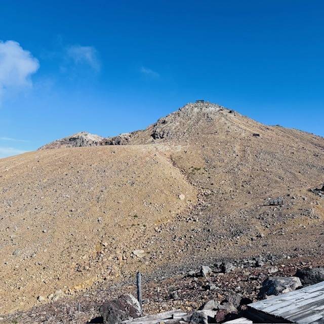 のぉーーーー😭✨