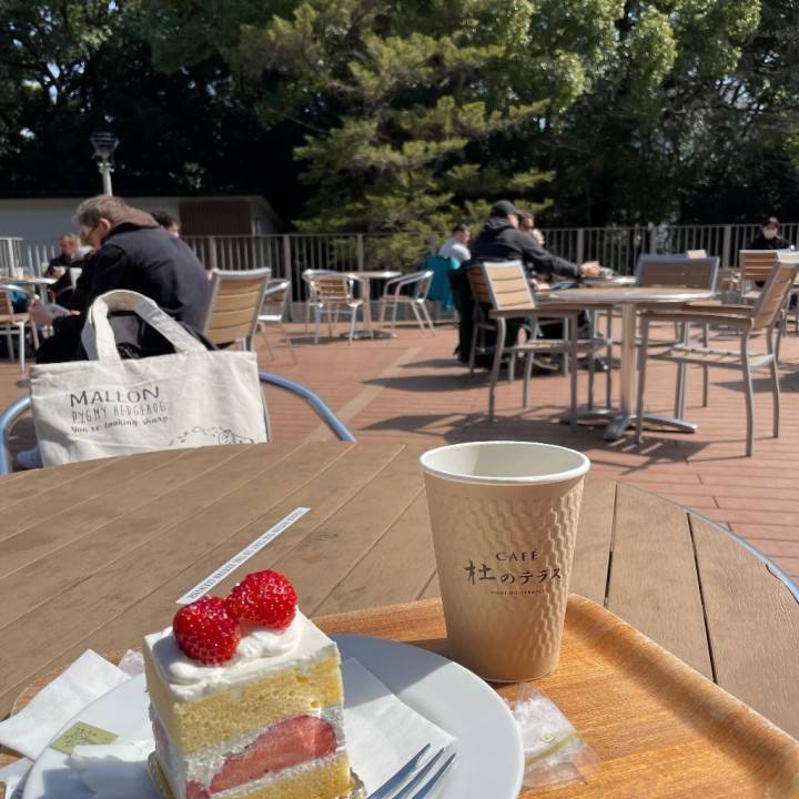 明治神宮さんぽ