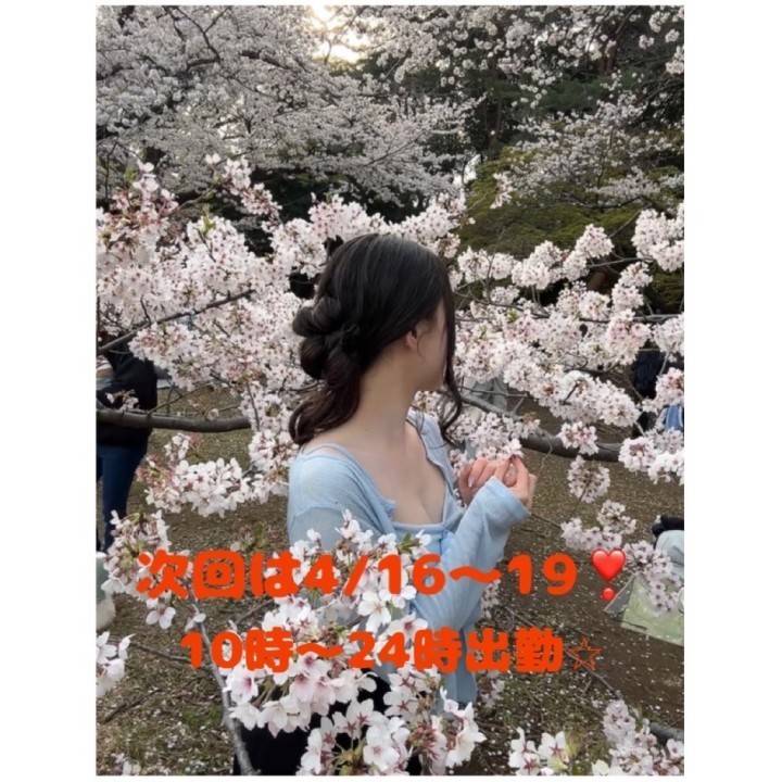 次回予定⭐︎