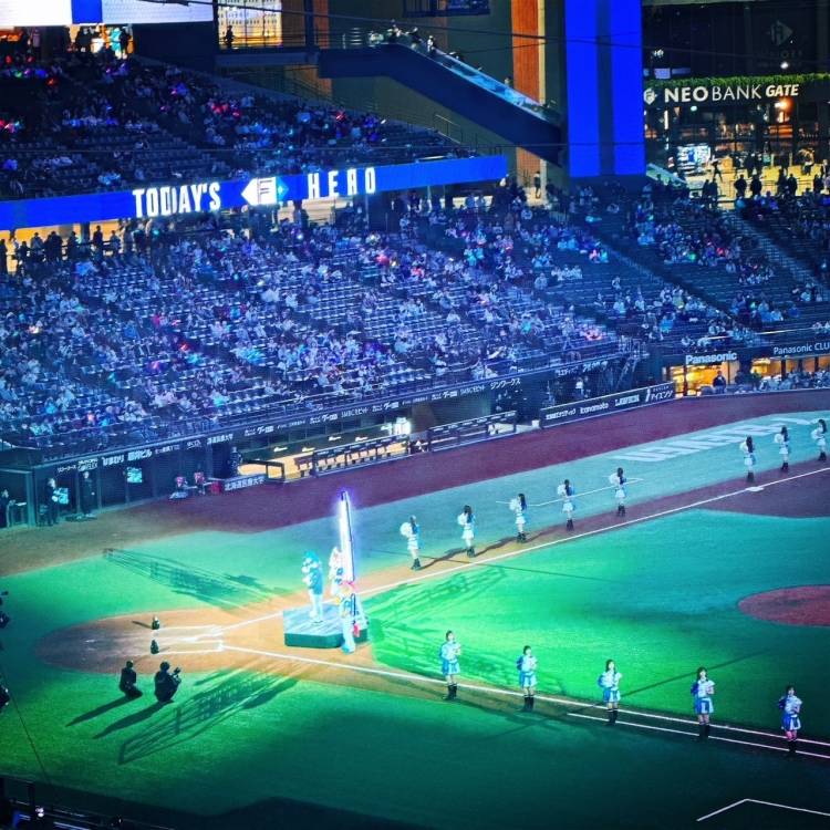 はむほーー🙌