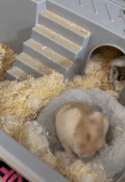 指名ありがとう♡