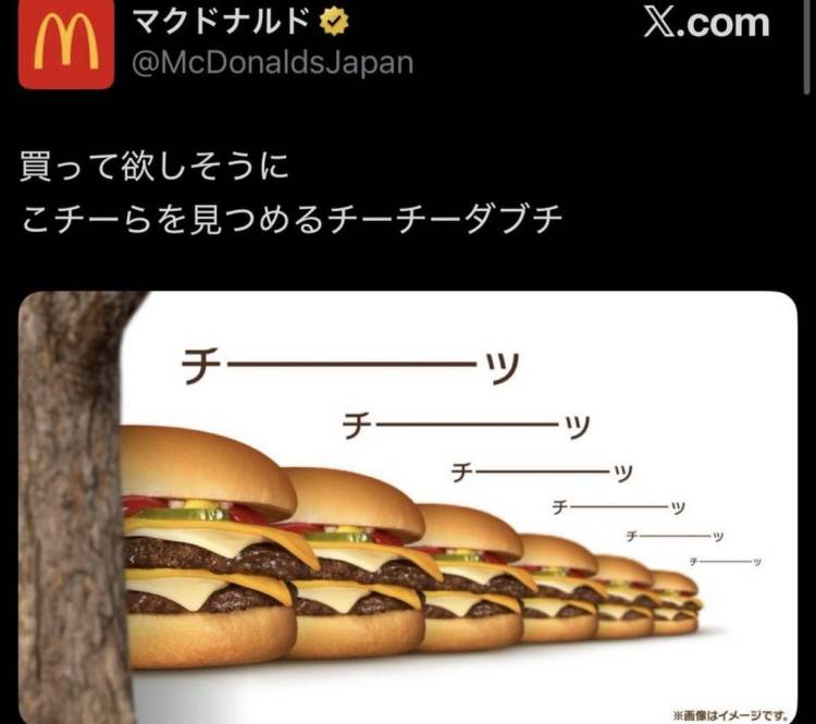 そんなに見つめられたら、、