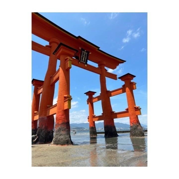 お裾分け