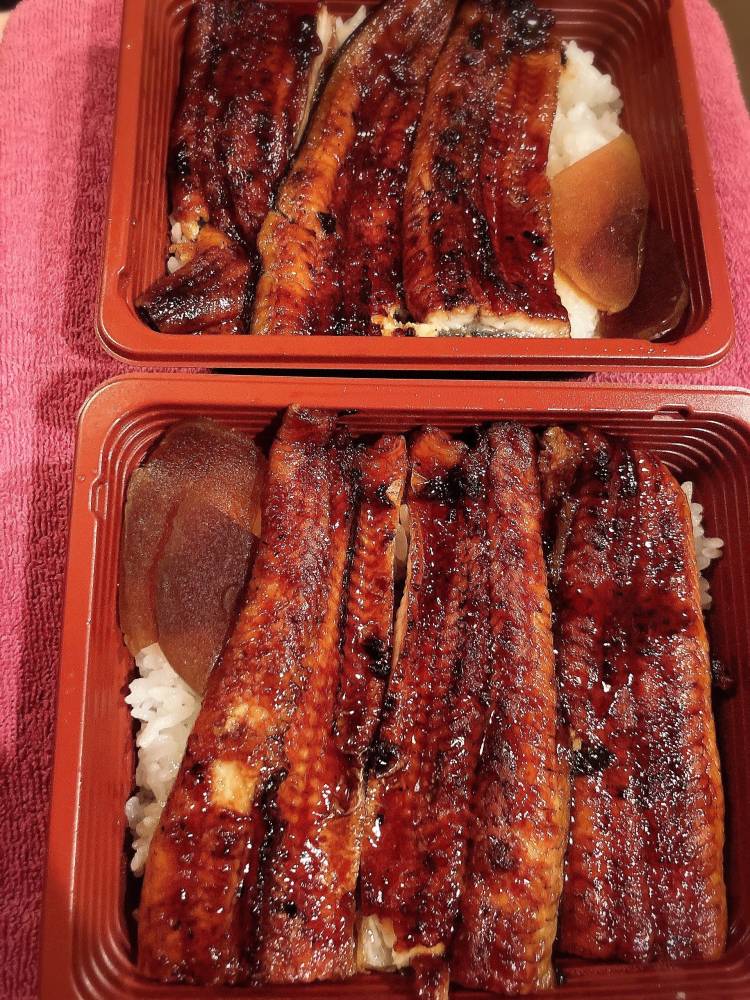 鰻バースデー🎂꙳︎︎ ⟡