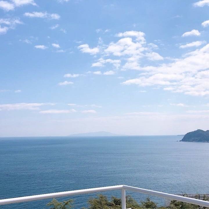 暑さに負けずに🌻
