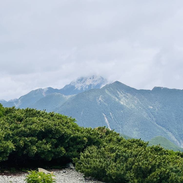 あれは甲斐駒ヶ岳か🤔❓