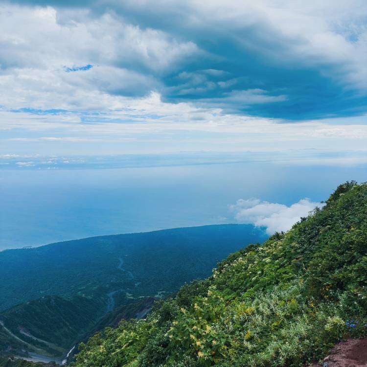 遠くて近い島🏝️