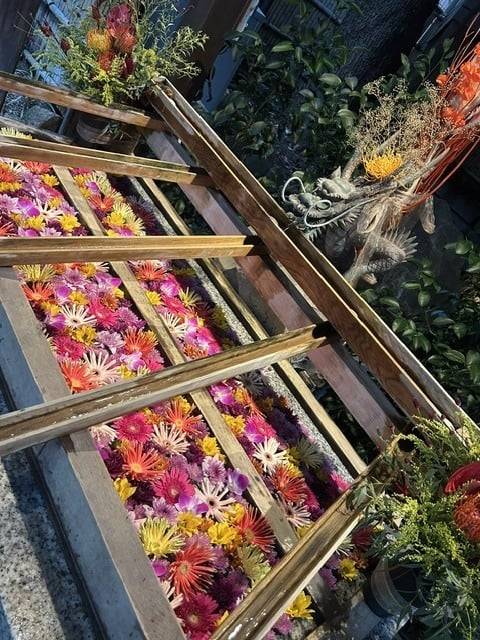 今日はお休み🌟
