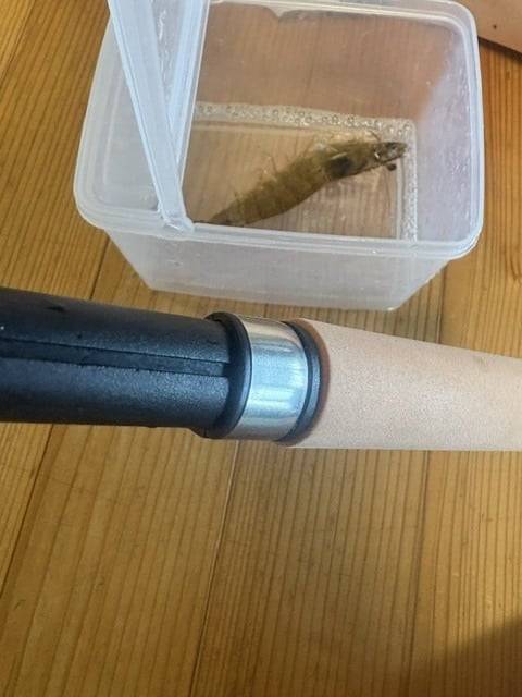 キャンプエピ人生初のえびつり体験中に見た親友ちゃんのもう一つの顔編
