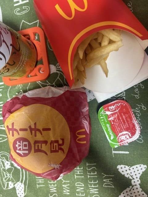 月見活