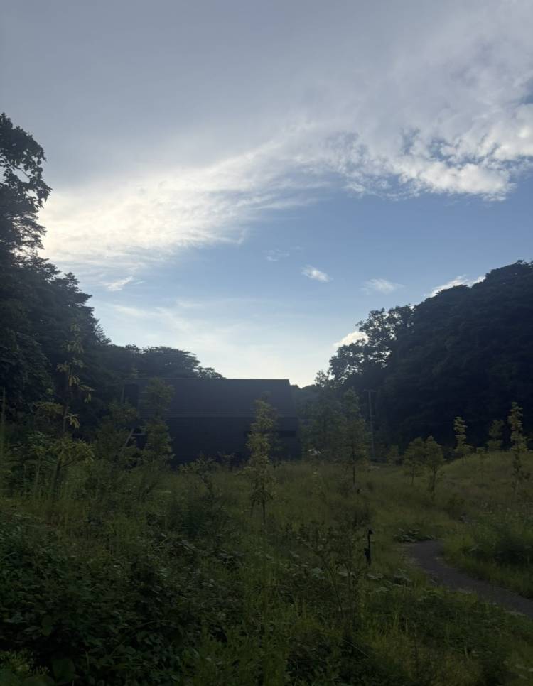 曇り時々雨
