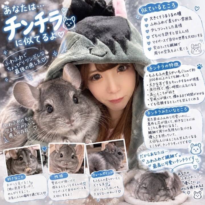 おやすみ(-_-)zzz