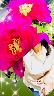 牡丹の花が美しい