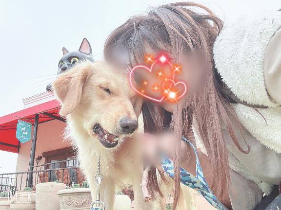 お散歩ワンコお貸しします。