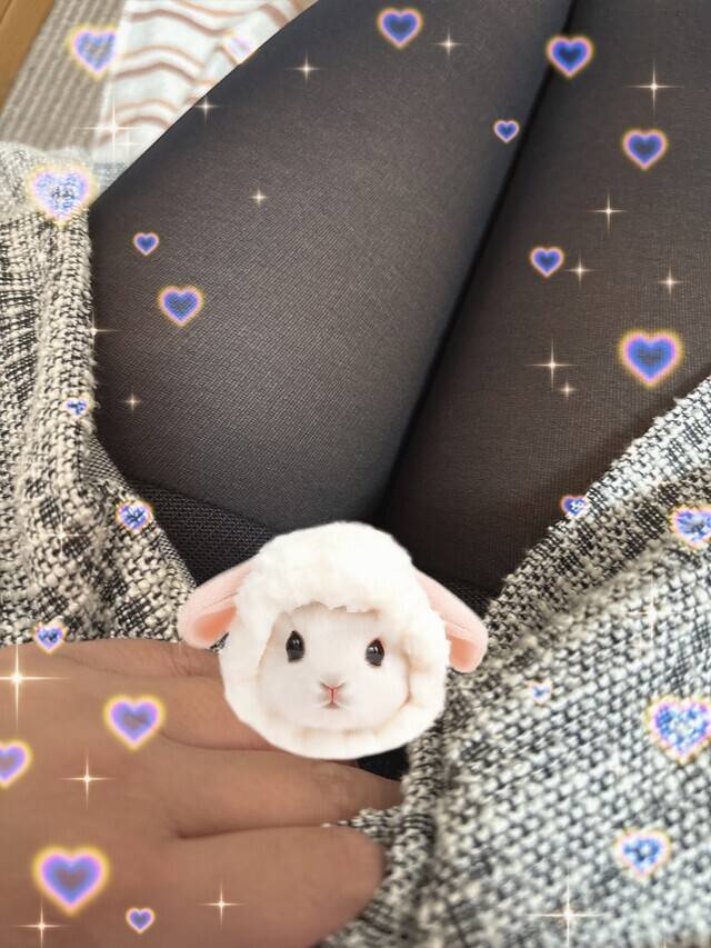 います🫶
