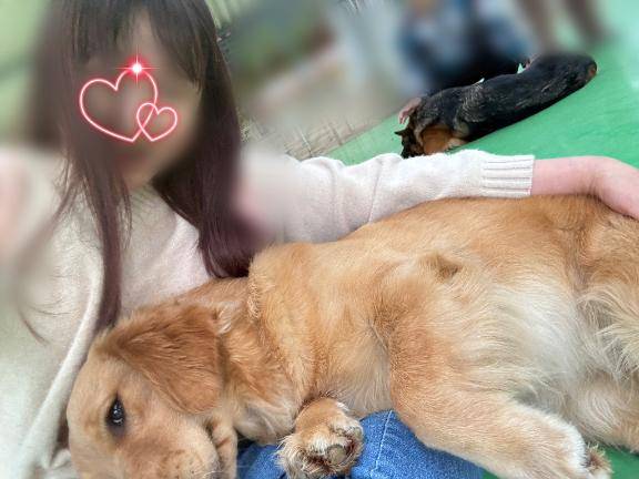 今日は「よい肉球の日」動物の肉球ってポップコーンの匂いしない？に回答♪