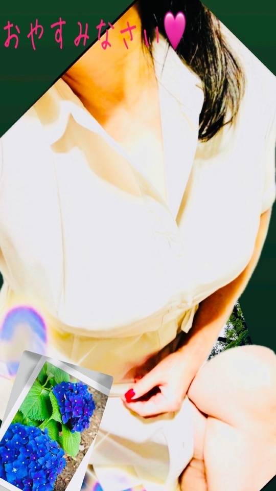 紫陽花が美しい