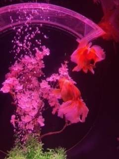 これから❤️