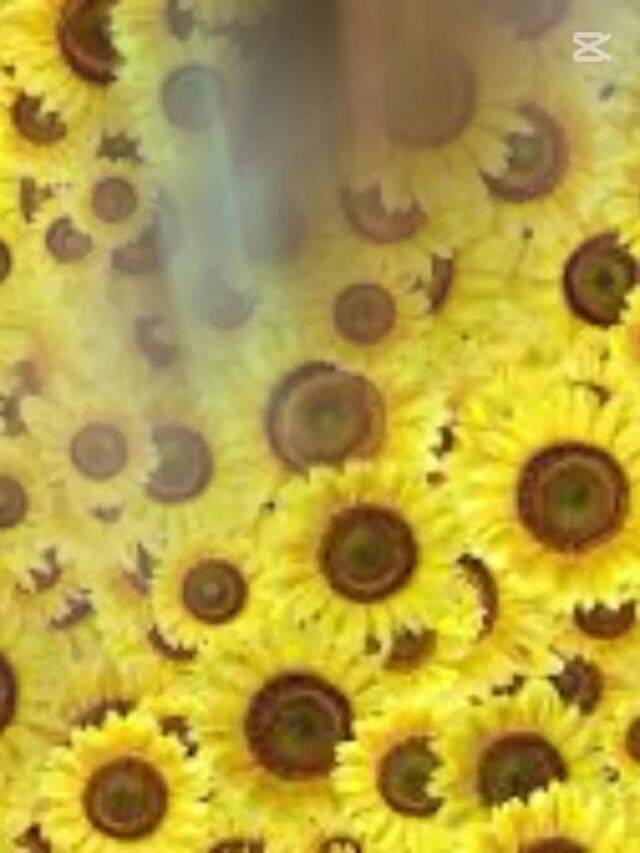 ７月の御礼です♡