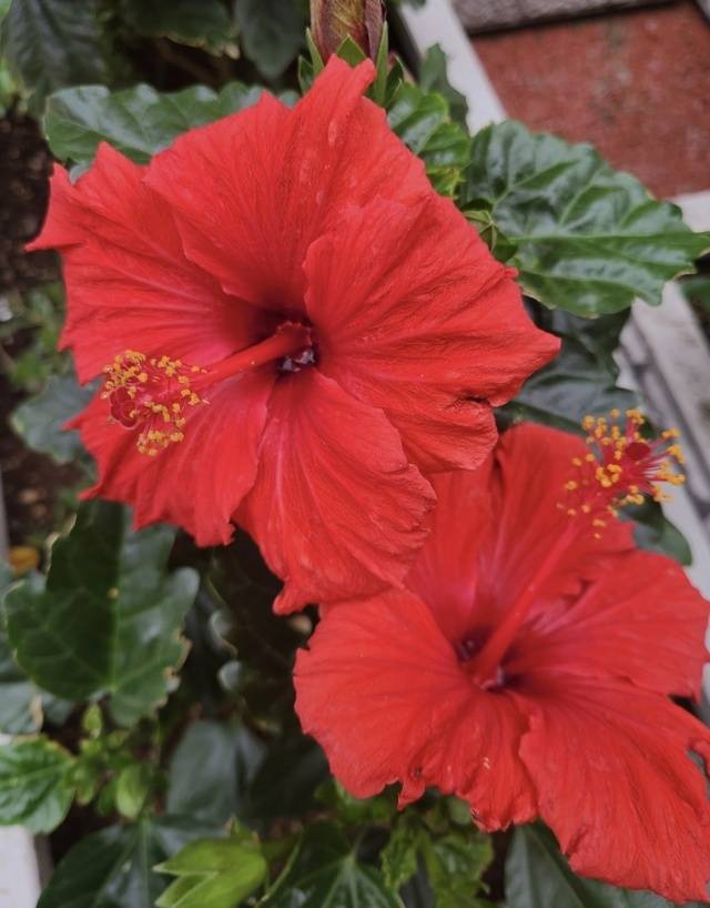 久しぶりに❤️