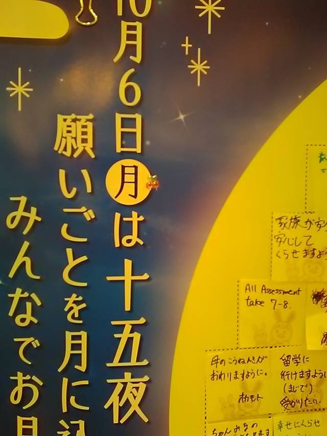 🛸明日は🛸