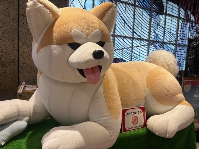 出勤します❣️