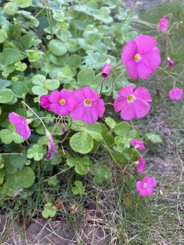 雨ですねー☂️