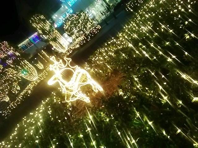 🌃✨これから🌃✨