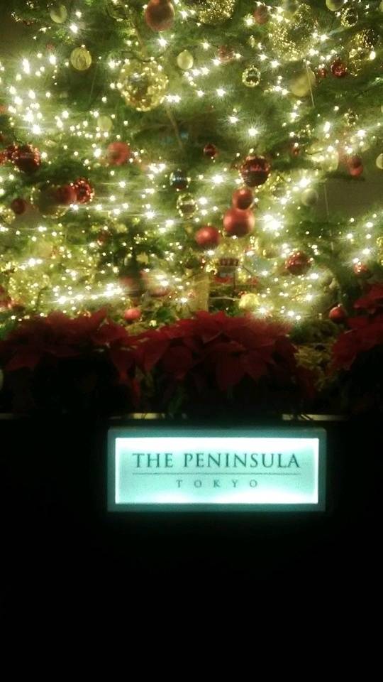 🚞久しぶりの 大宮🚞