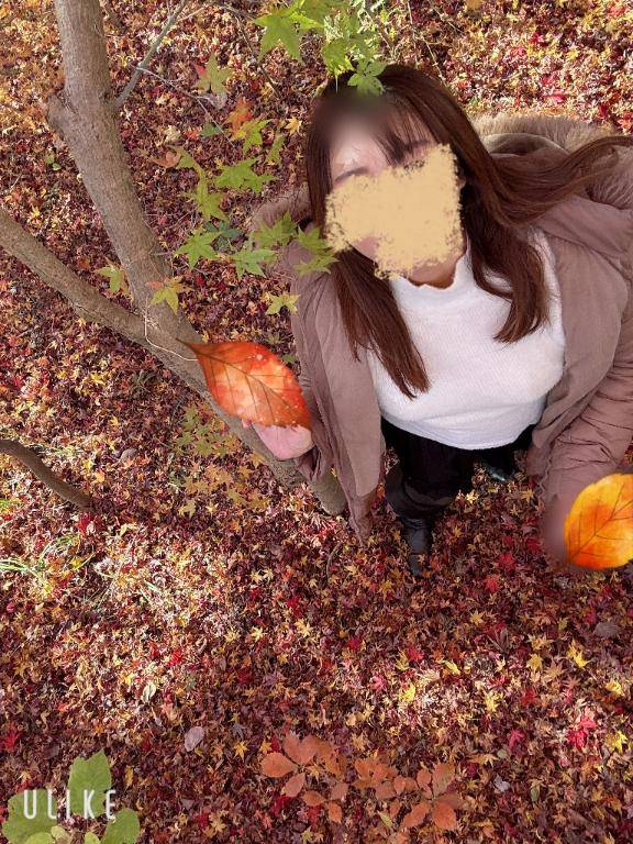 ??????なら??????しまえホトトギス