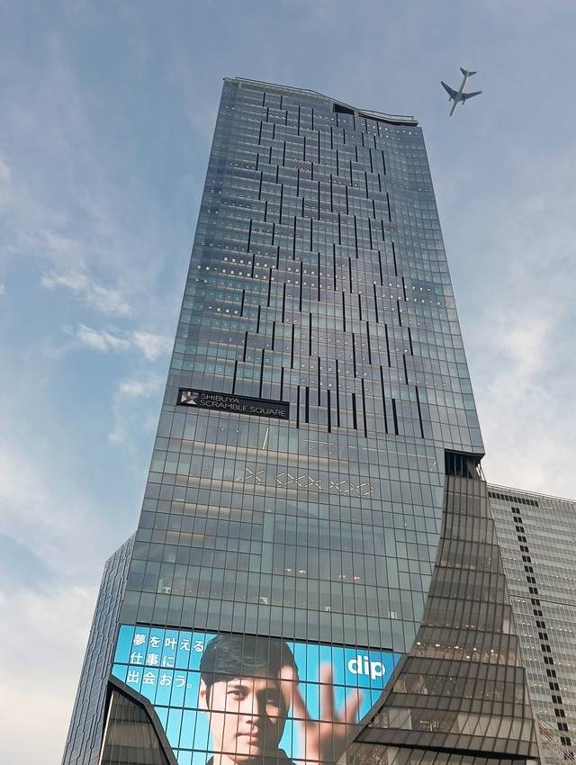 見上げれば、、